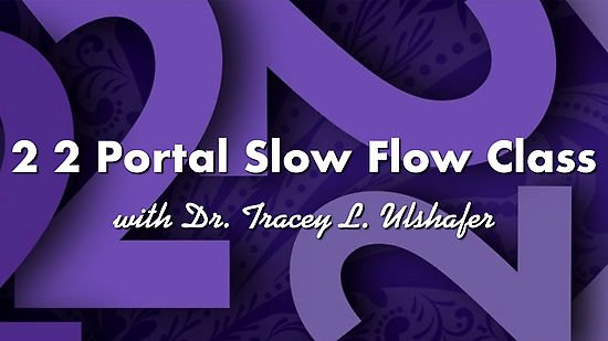 2 2 Portal Slow Flow